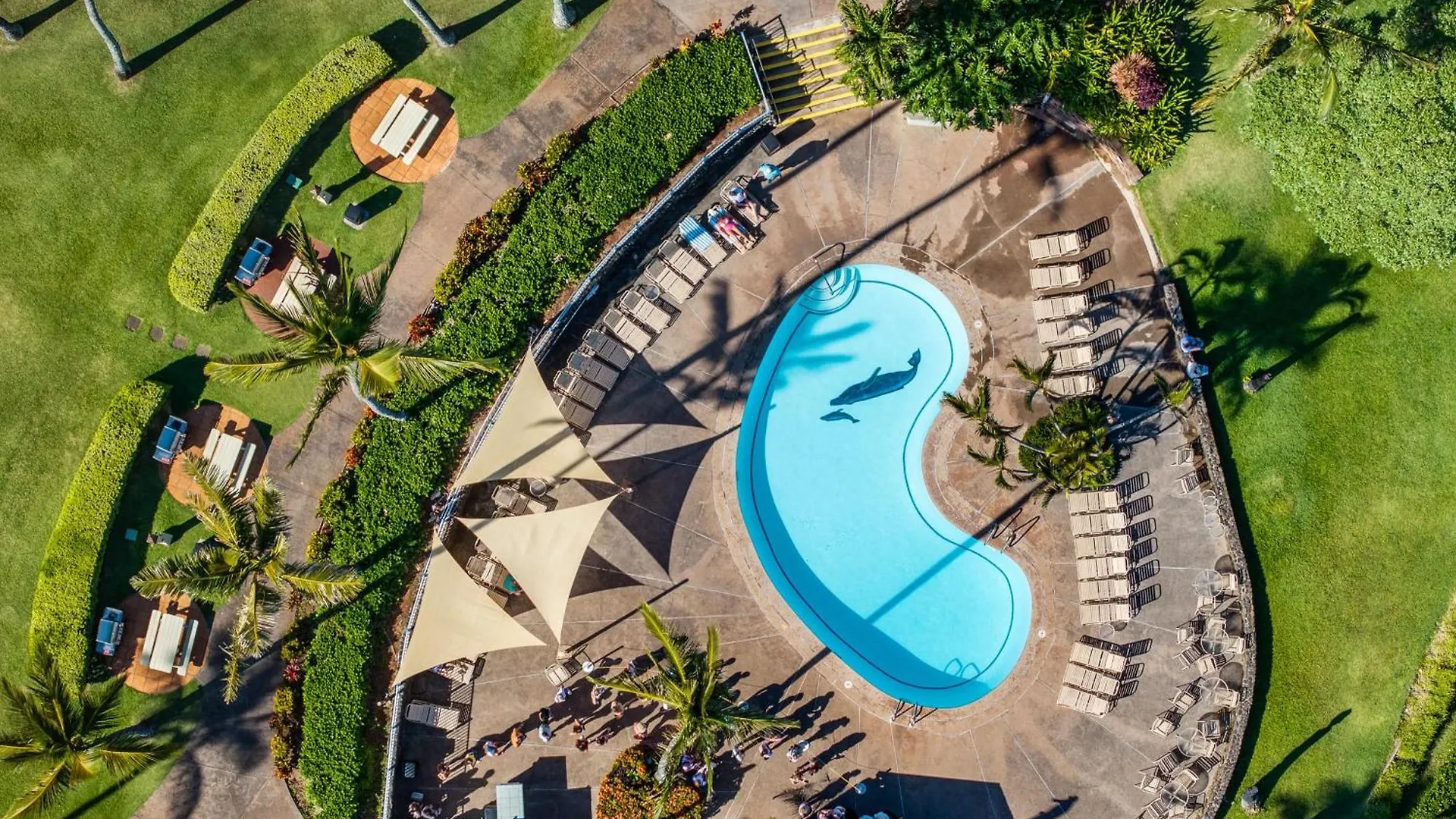 Napili Shores H262 Kahana 0*,  Stati Uniti