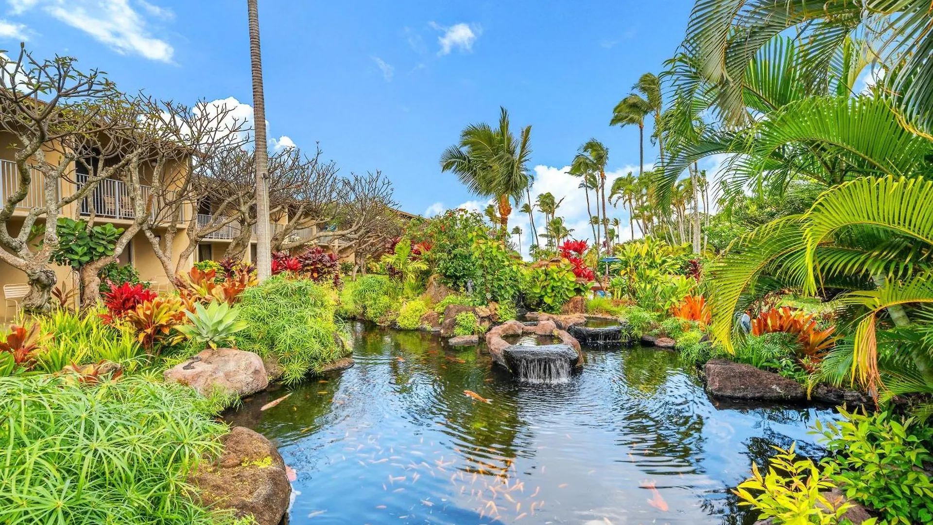 Casa vacanze Napili Shores H262 Kahana