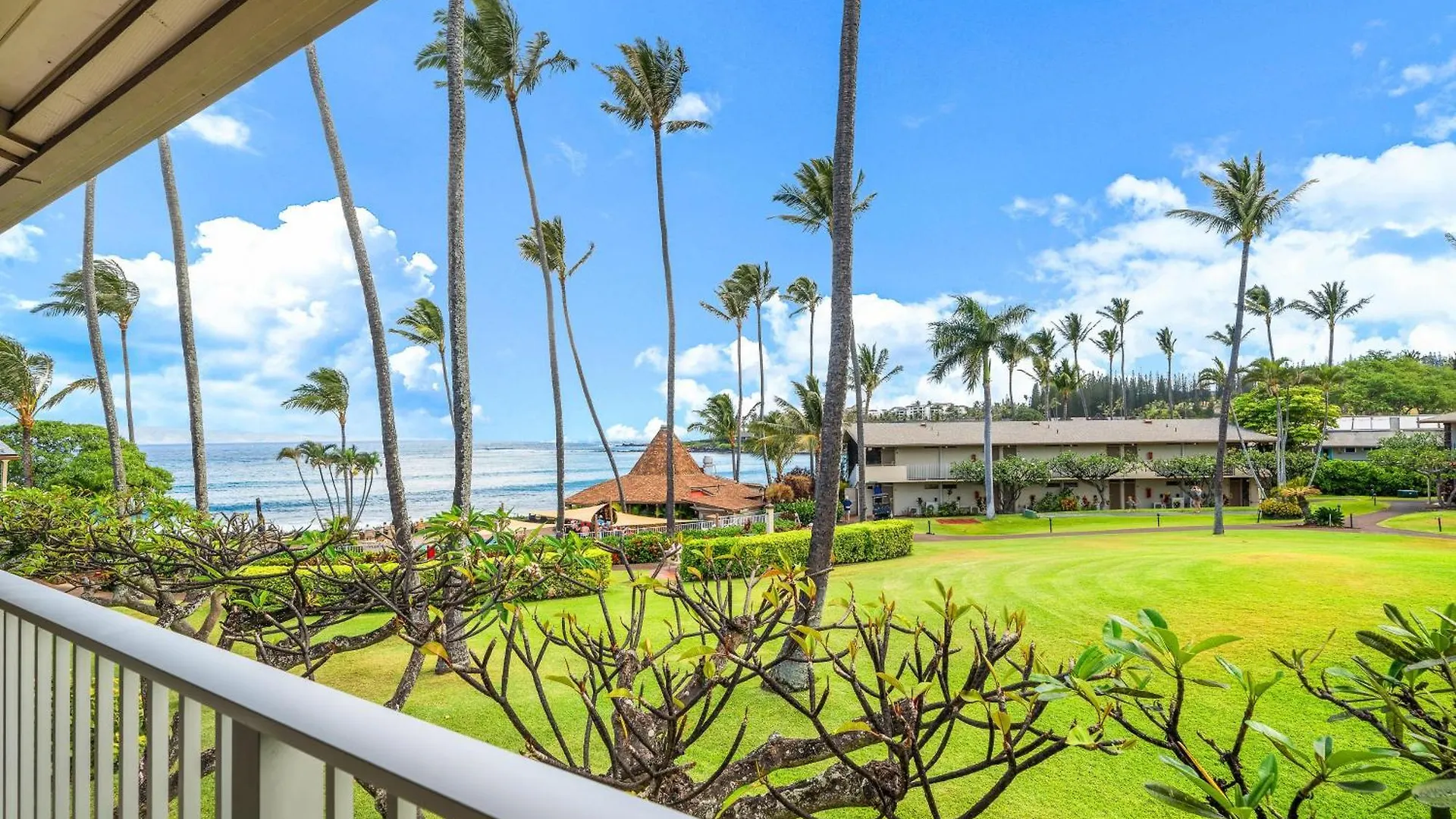 Napili Shores H262 Kahana