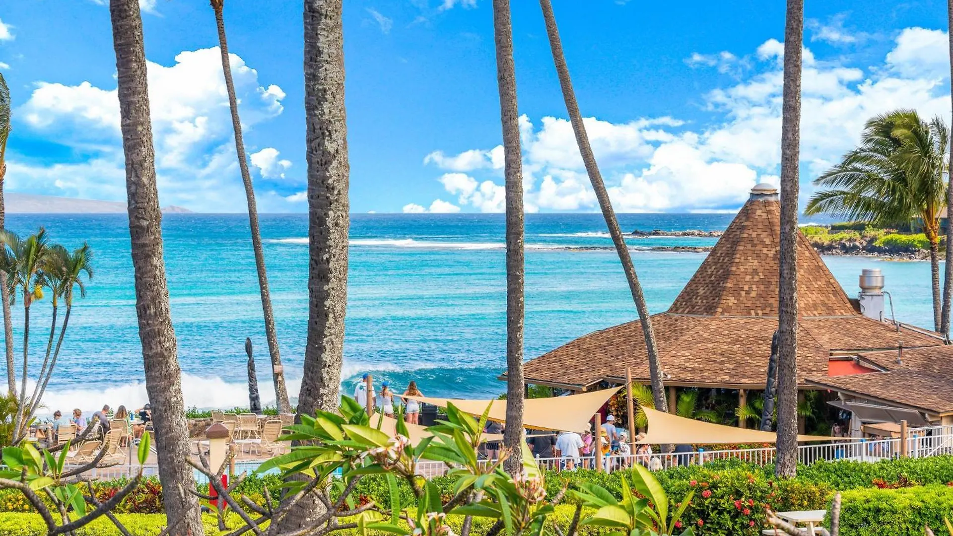 Casa vacanze Napili Shores H262 Kahana